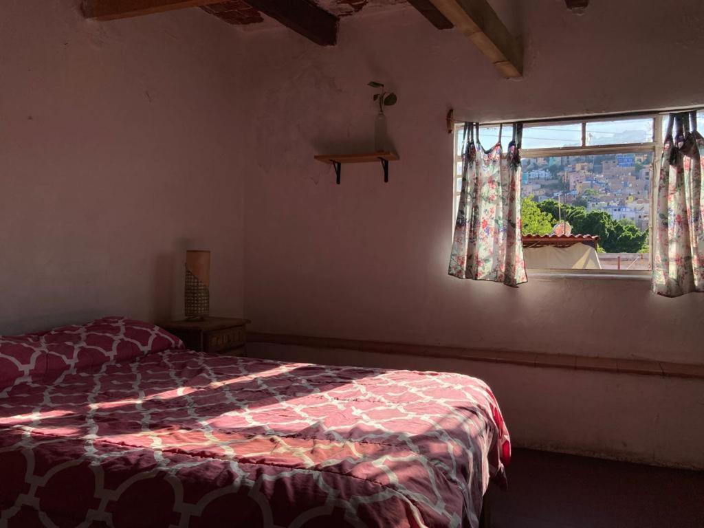 Casa Alebrije Apartment Guanajuato Bagian luar foto